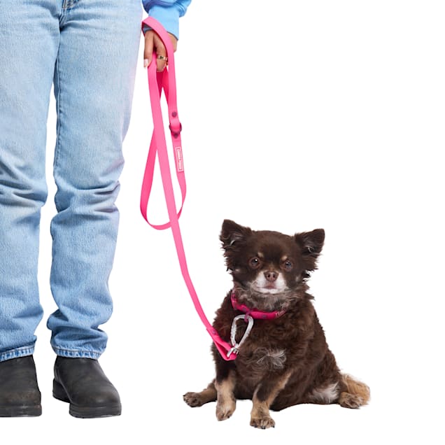 Long dog leash petco sales