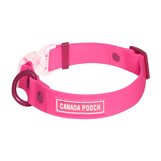 Service dog collar petco clearance