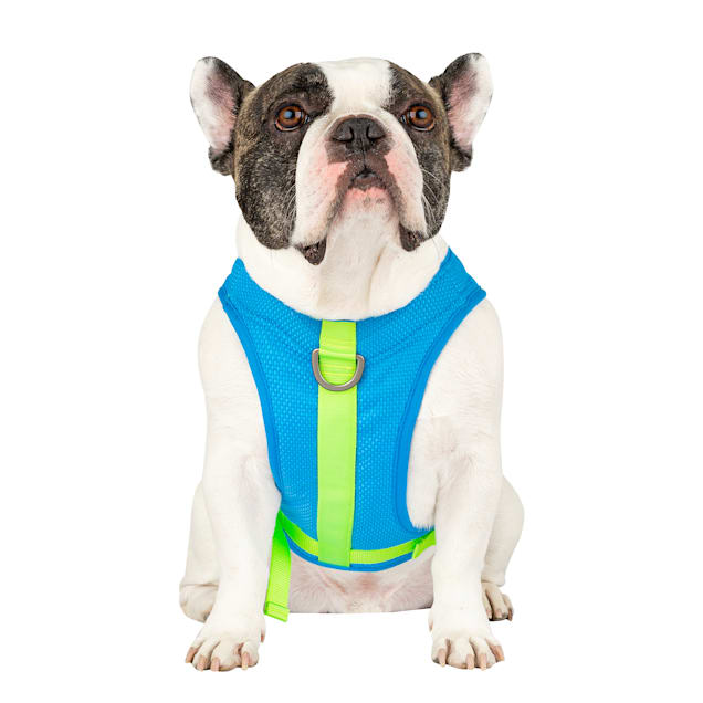 Canada Pooch Medium Blue Cooling Dog Harness Control