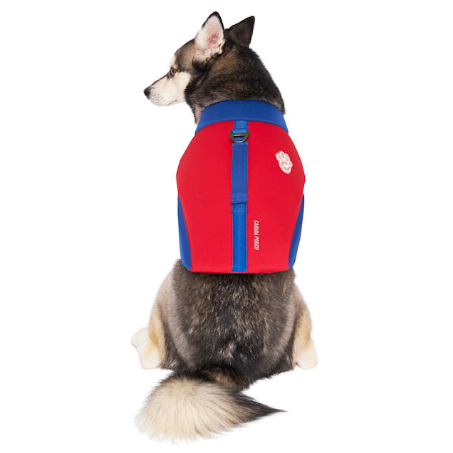 Petco clearance life jacket