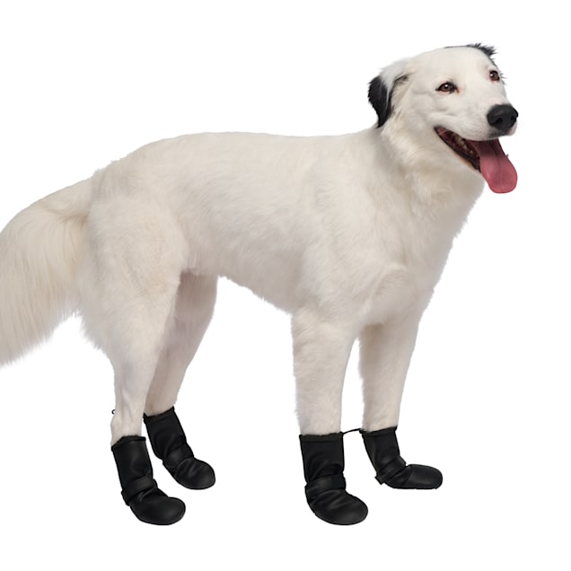 Petco booties sales