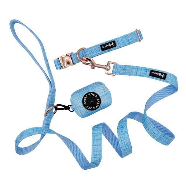 Dog leash new arrivals bag holder