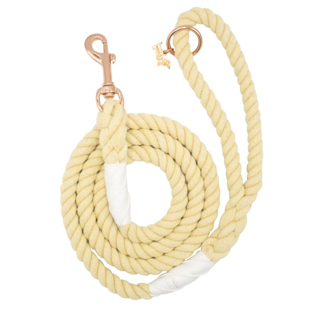 Sassy Woof Dandelion Rope Dog Leash, 5 ft. Petco