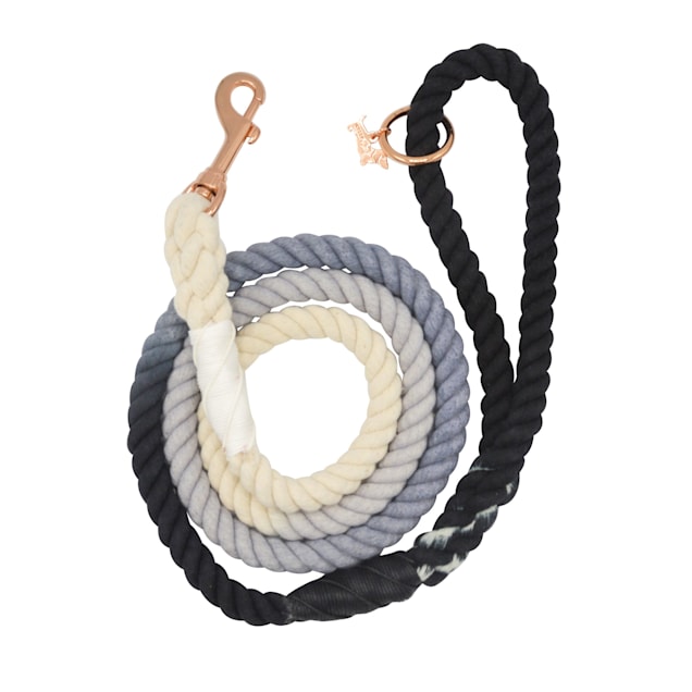 Sassy Woof Ombre Black Rope Dog Leash 5 ft. Petco