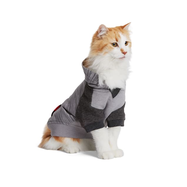 Petco cat hot sale clothes