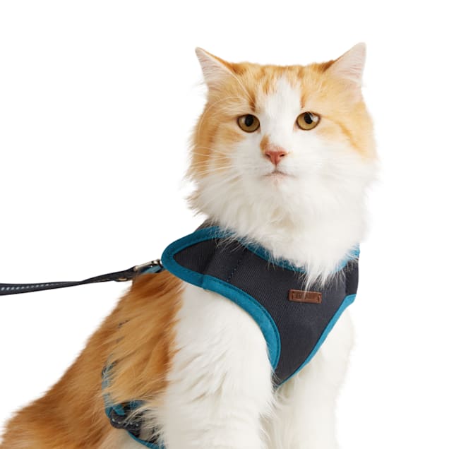 Reddy Cat Harness Set Teal Small Medium