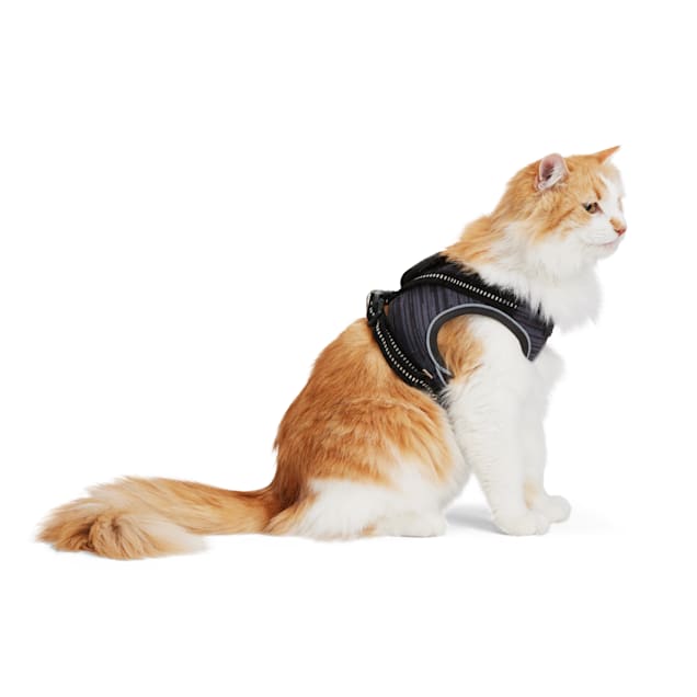 Premier Pet Cat Harness & Leash - Best for Cats 5 - 12 lb - Adjustable