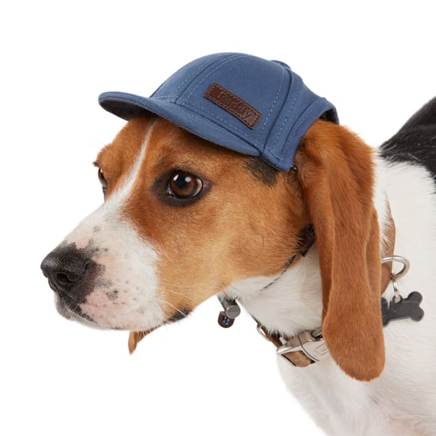 Reddy Navy Hat for Dogs, X-Small/Small, Blue