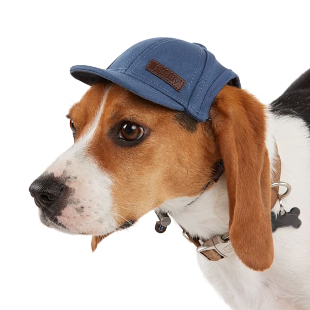 Dog hats petco new arrivals