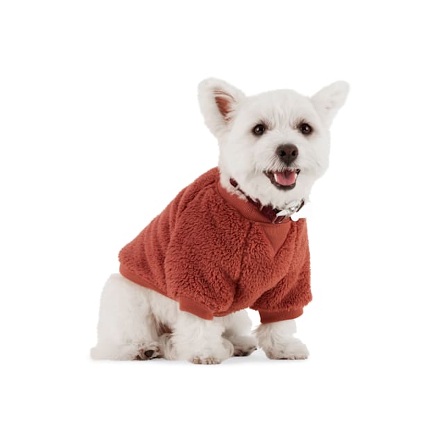 Reddy clearance dog sweatshirt