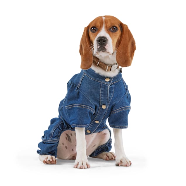 Dog jumpsuit hotsell