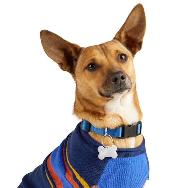 Petco small cheap dog sweaters