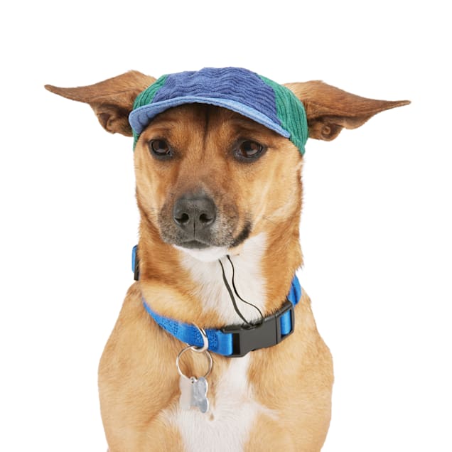 YOULY Bow Baseball Dog Hat, X-Small/Small, Blue