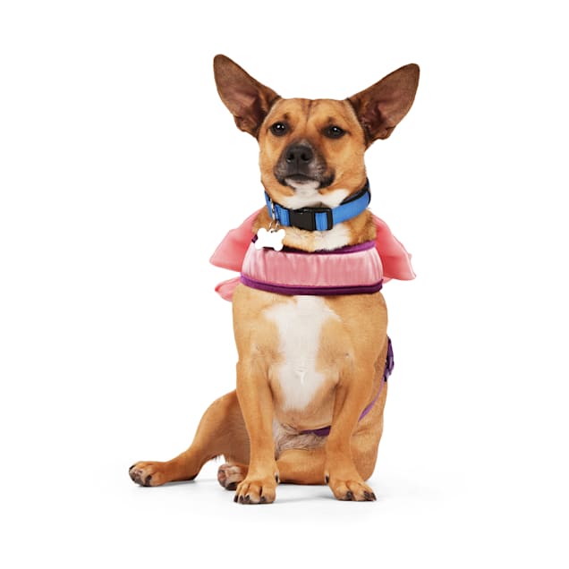Petco dog seat belt sale