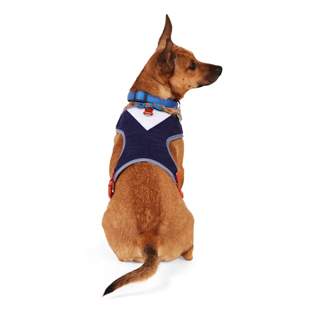 YOULY Bow Tie Dog Harness, XSmall, Black Petco