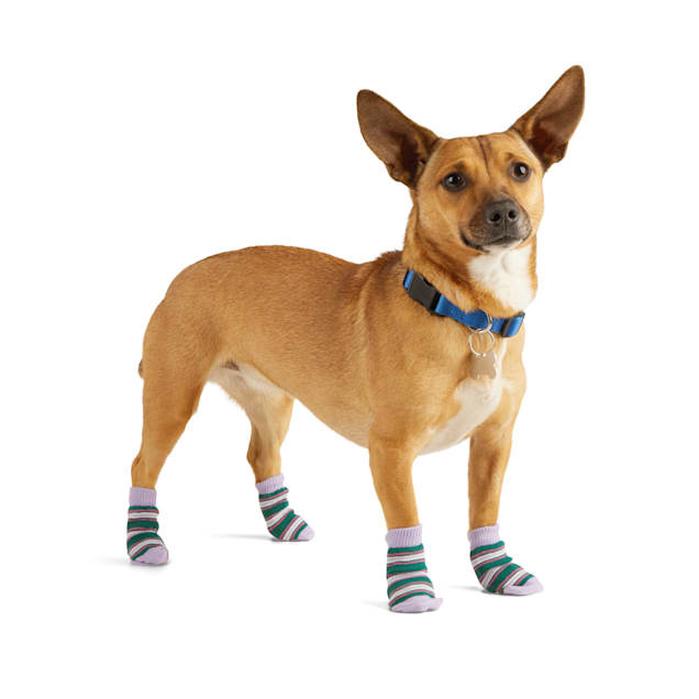 YOULY Pink Sock Dog Pack, XSmall/Small, Pink Petco