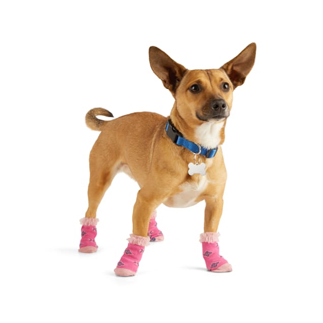 Arthritis socks for dogs outlet
