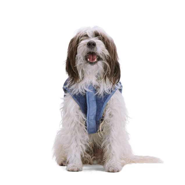 Petsmart service dog hot sale vest