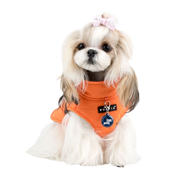 Puppia Orange Mountaineer II Dog Winter Vest Small Petco