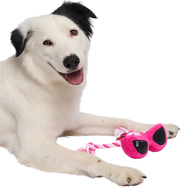 Dog sunglasses petco sales