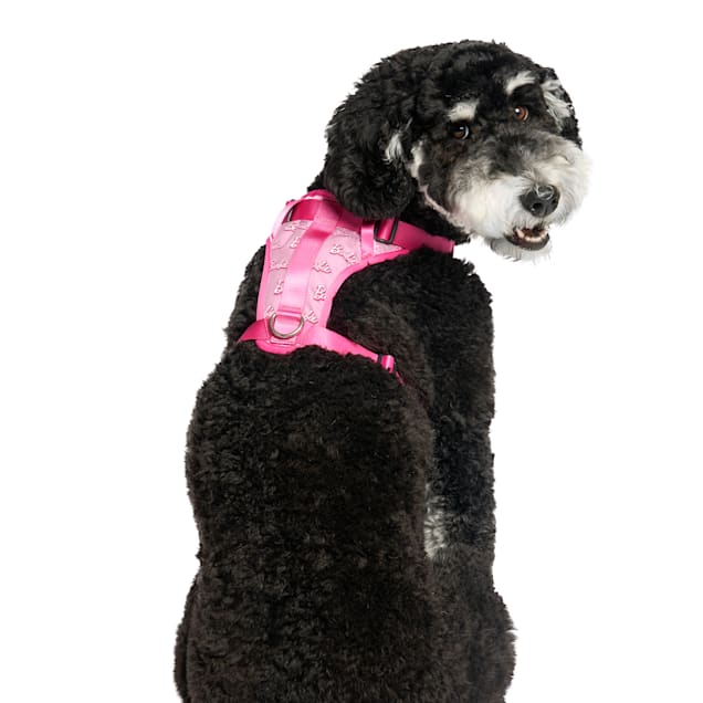 Barbie x Canada Pooch Everything Logo Dog Harness, Small | Petco