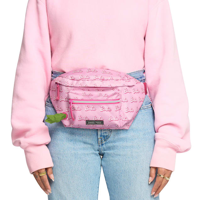 Barbie dog backpack new arrivals