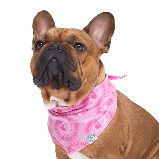 Pink dog scarf clearance