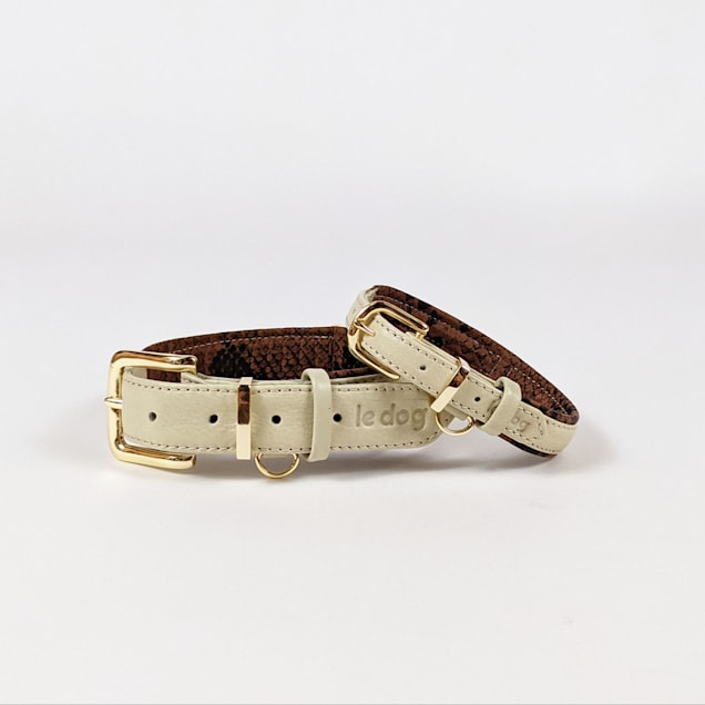 Cartier dog collar sale