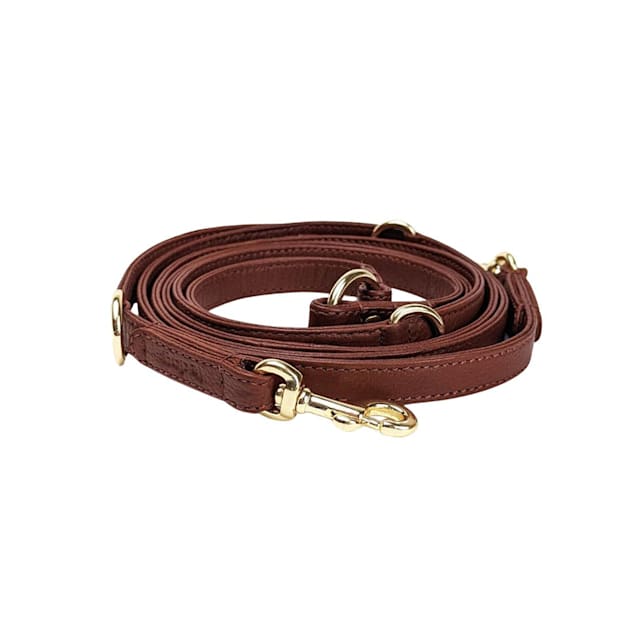 Long dog 2025 leash petco