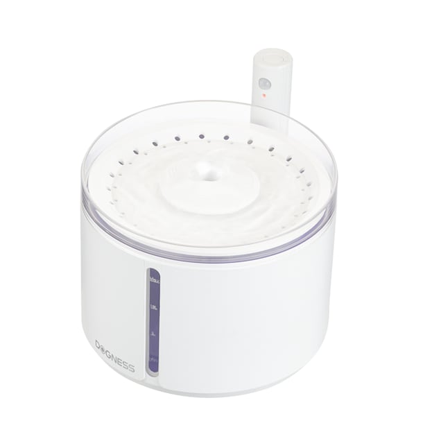 Water fountain for deals cats petco
