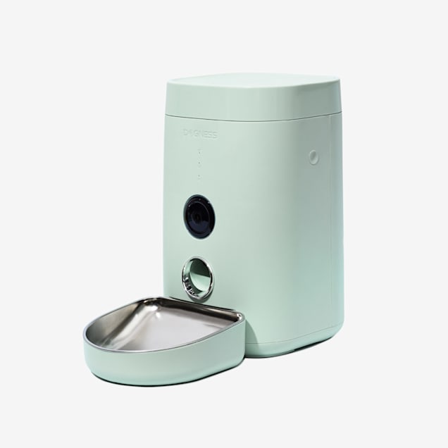 Dogness Green Wide View Cam Feeder 4 Liters Petco