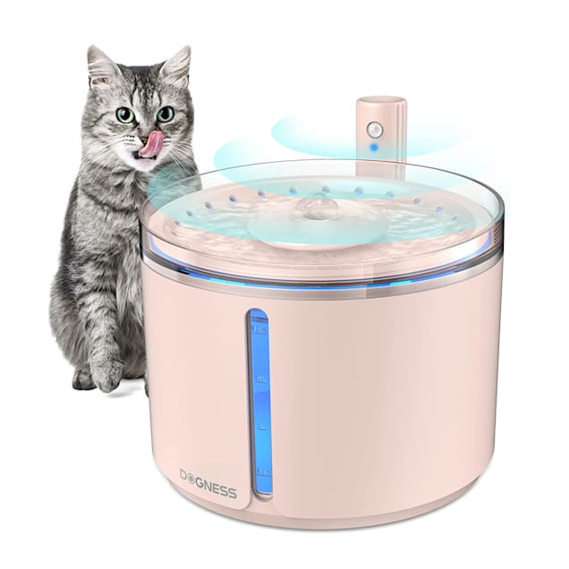 Isyoung pet fountain outlet