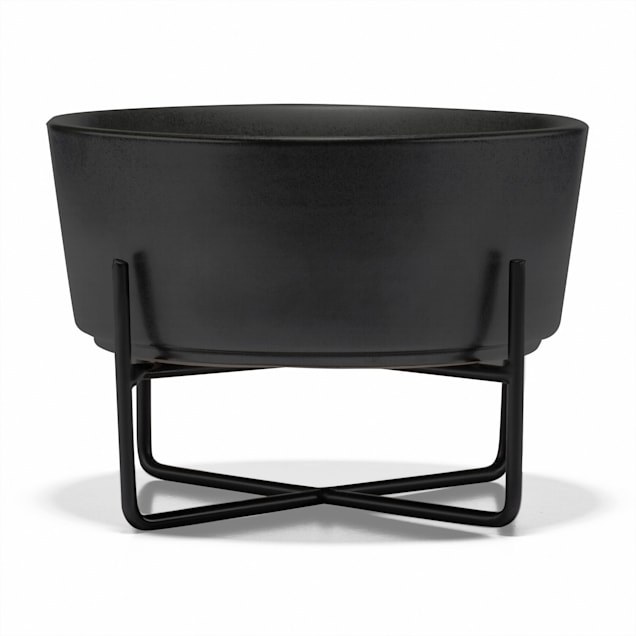 Petco raised dog bowls shop
