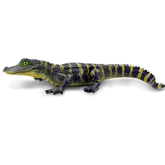 Crocodile top baby toy