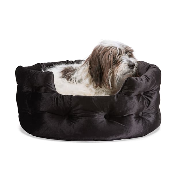 Small black dog store bed