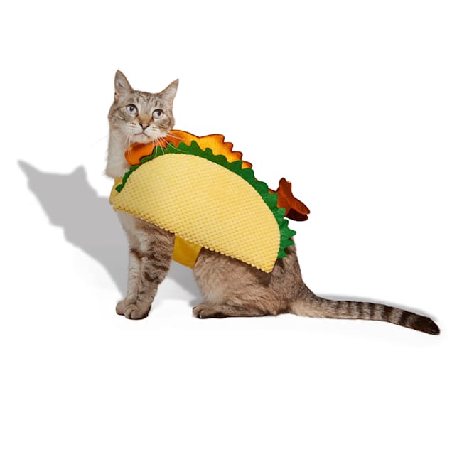 Fish cat costume discount