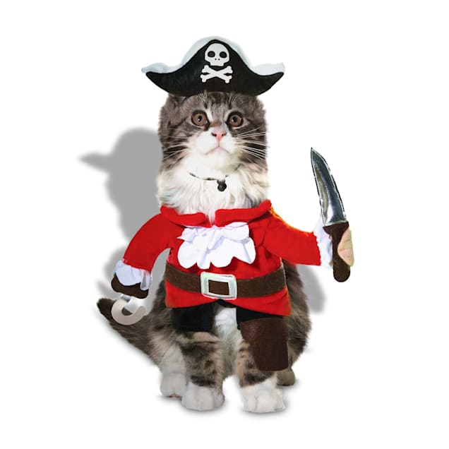 Cat pirate outfit cheap