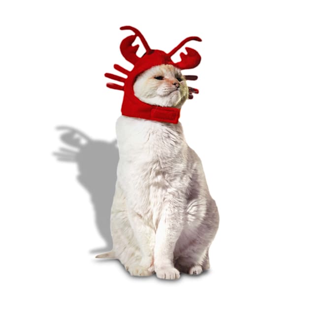 Cat lobster hot sale costume