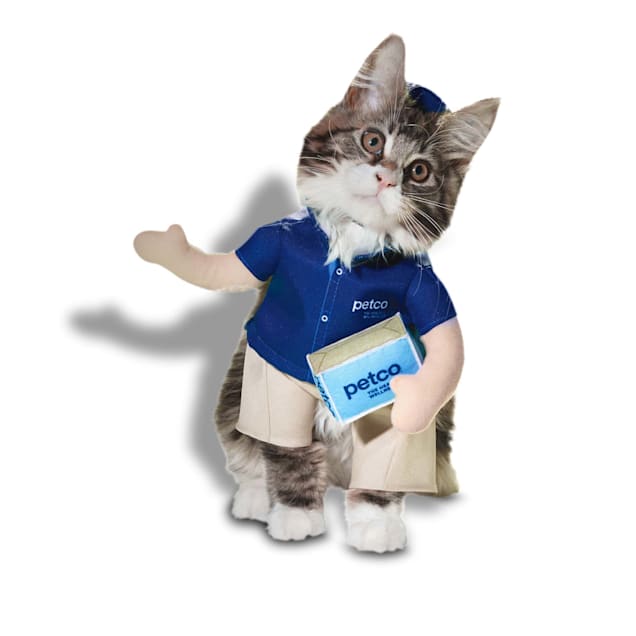 Cat booties petco clearance