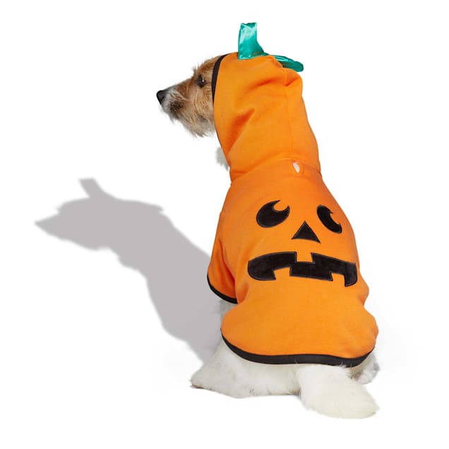 Pumpkin dog sweater hotsell