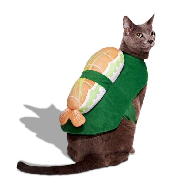 Petco outfits outlet