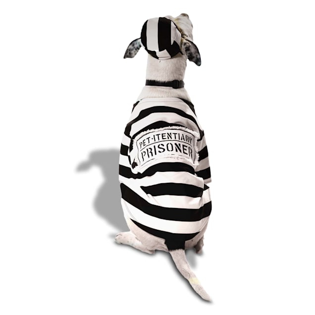 Dog prisoner costume xxl shop