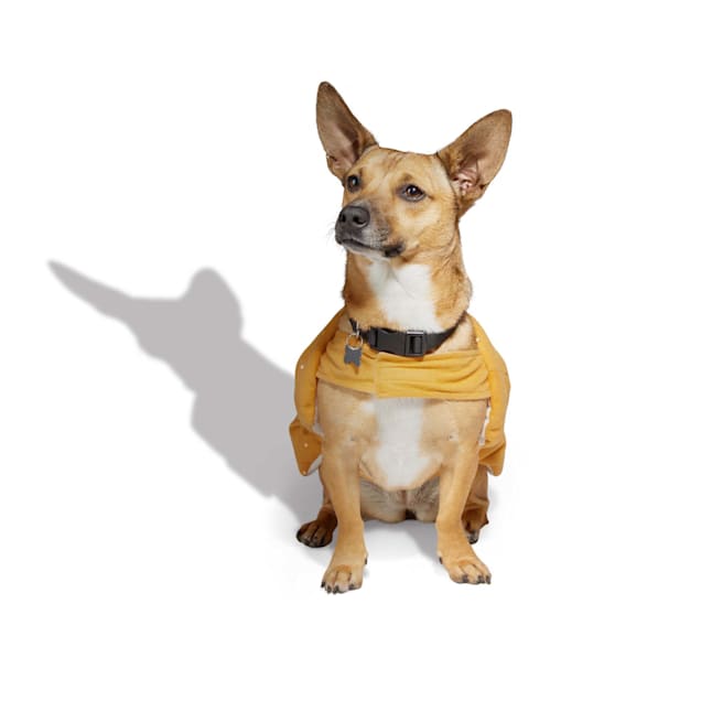 Large dog on sale hot dog costume