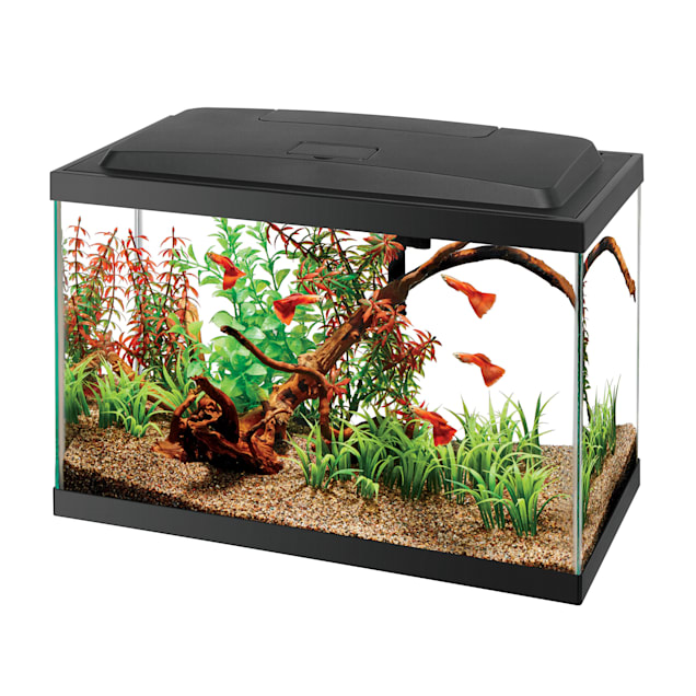  Small Fish Tank 2 Gallon Glass Aquarium Starter Kits