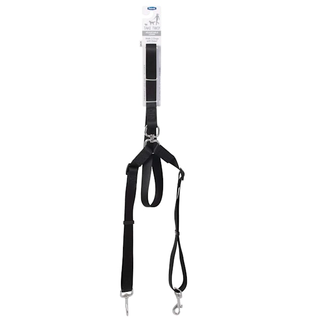 Aspen pet harness sale