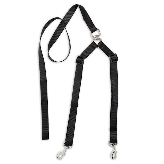 Petco double leash outlet
