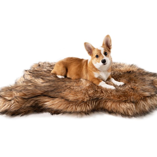 Paw orthopedic dog bed sale