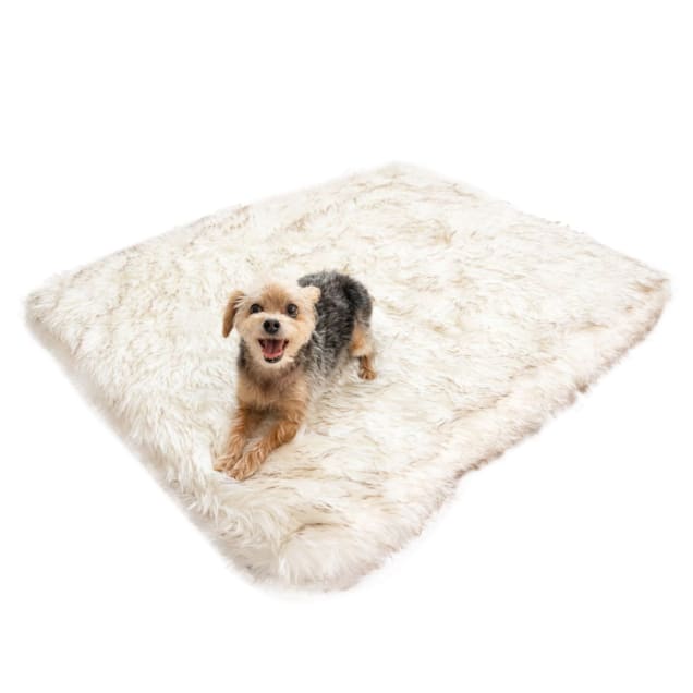 Puprug blanket cheap