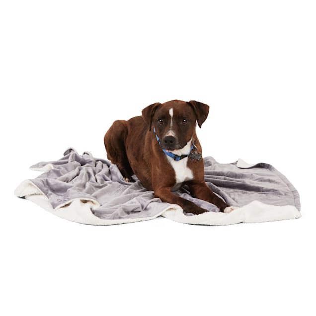 EveryYay Essentials Reversible Throw Dog Bed 50