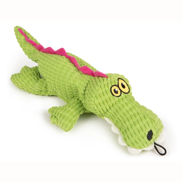 Squeaky alligator clearance dog toy